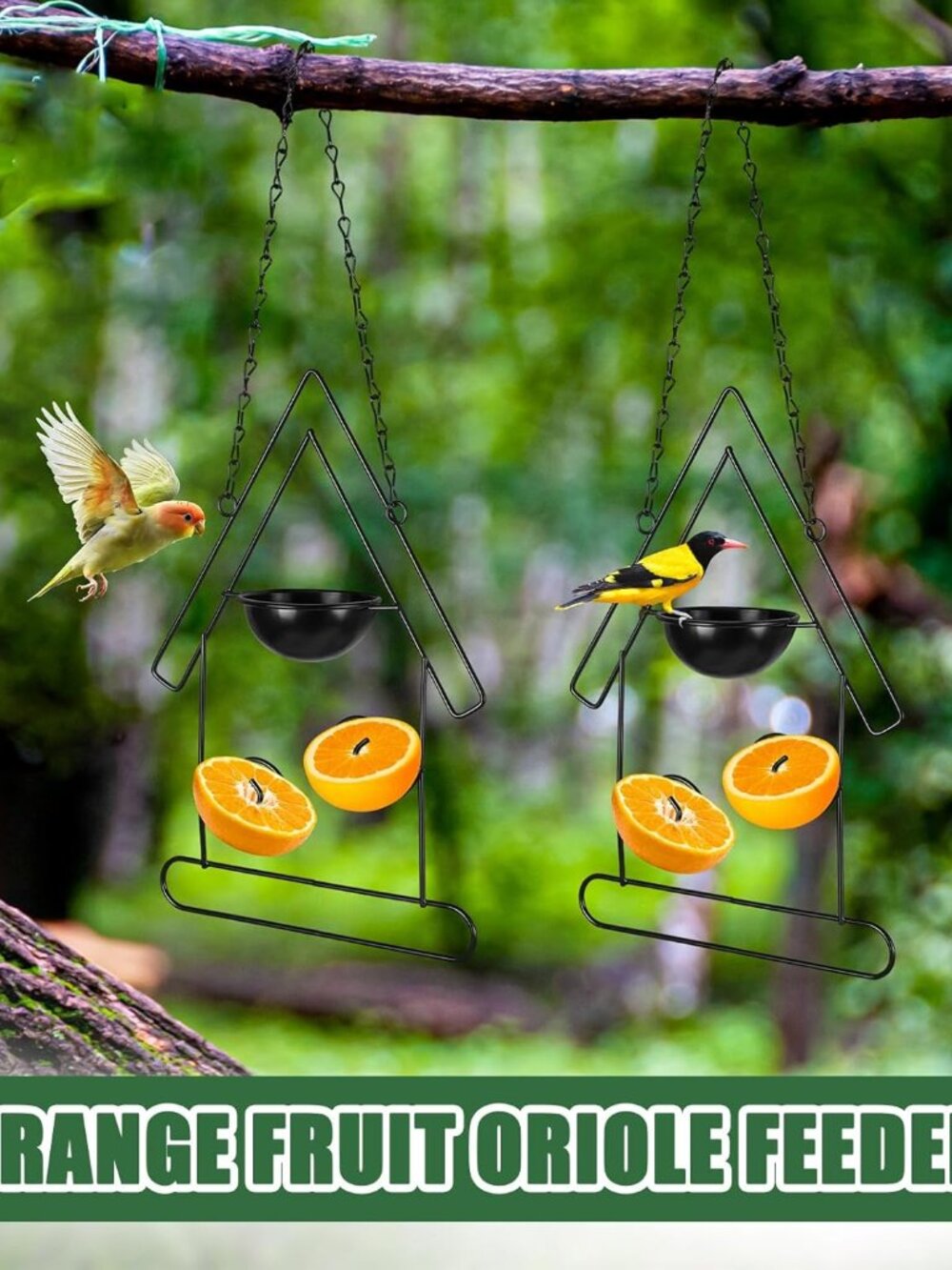 Fruit Metal Bird Feeder Set of 2 New